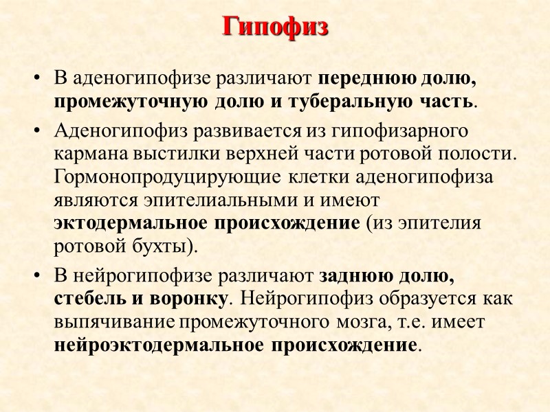 Гипофиз В аденогипофизе различают переднюю долю, промежуточную долю и туберальную часть.  Аденогипофиз развивается